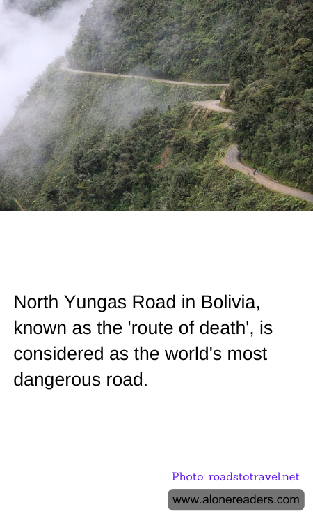 General Knowledge Learning Cards