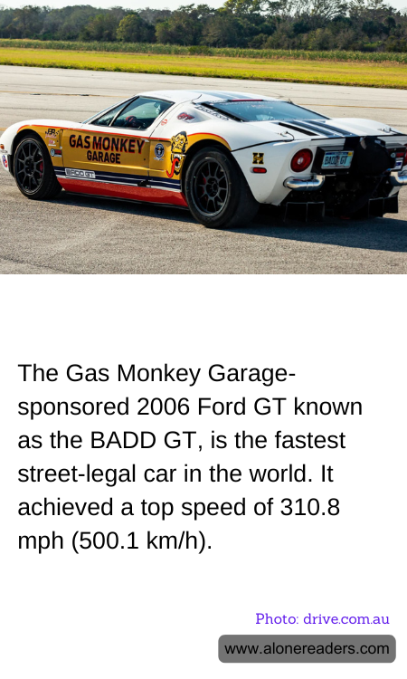 General Knowledge Learning Cards