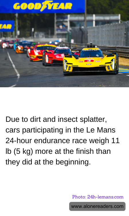 Due to dirt and insect splatter, cars participating in the Le Mans 24-hour endurance race weigh 11 lb (5 kg) more at the finish than they did at the beginning.