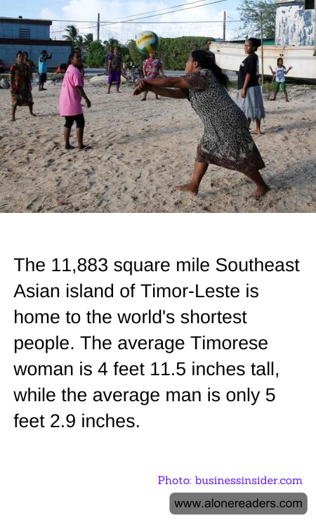 General Knowledge Learning Cards