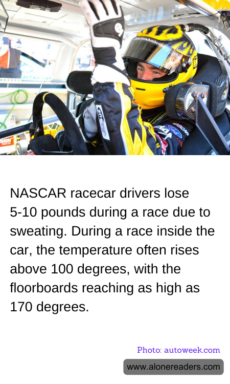 NASCAR racecar drivers lose 5-10 pounds during a race due to sweating. During a race inside the car, the temperature often rises above 100 degrees, with the floorboards reaching as high as 170 degrees.