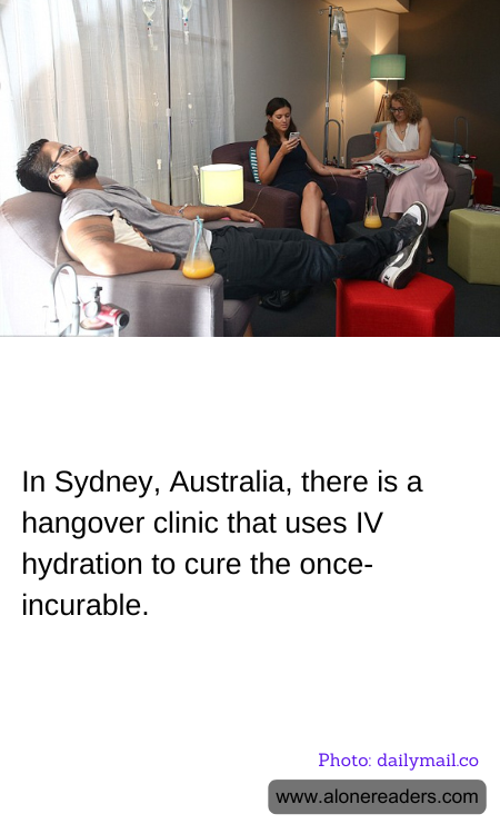 General Knowledge Learning Cards