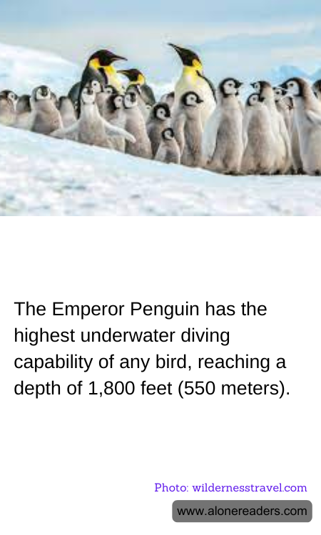 General Knowledge Learning Cards