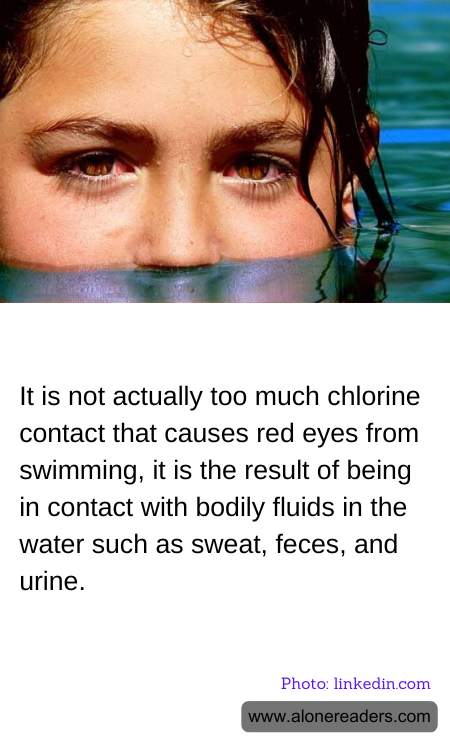 General Knowledge Learning Cards