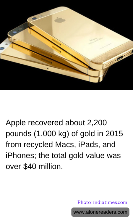 General Knowledge Learning Cards