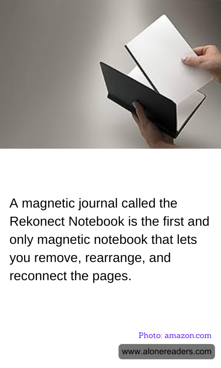 General Knowledge Learning Cards