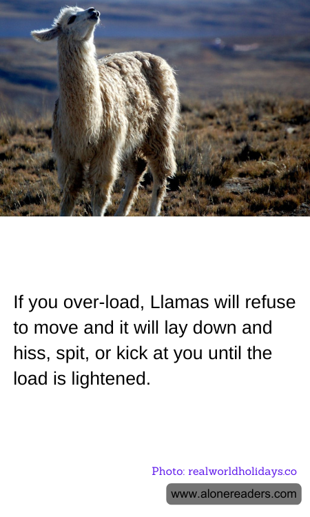 General Knowledge Learning Cards