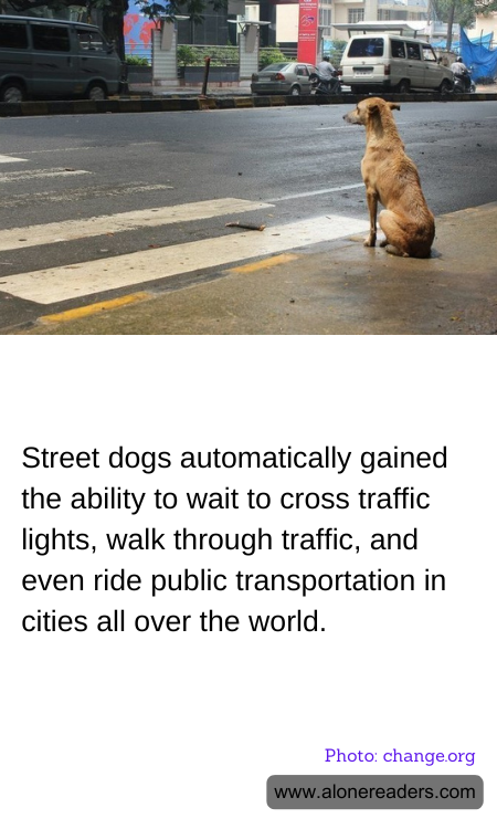 General Knowledge Learning Cards