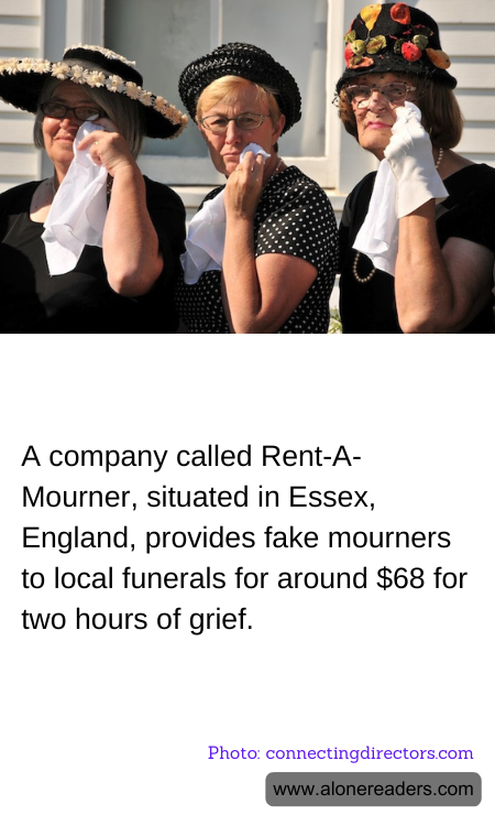 General Knowledge Learning Cards