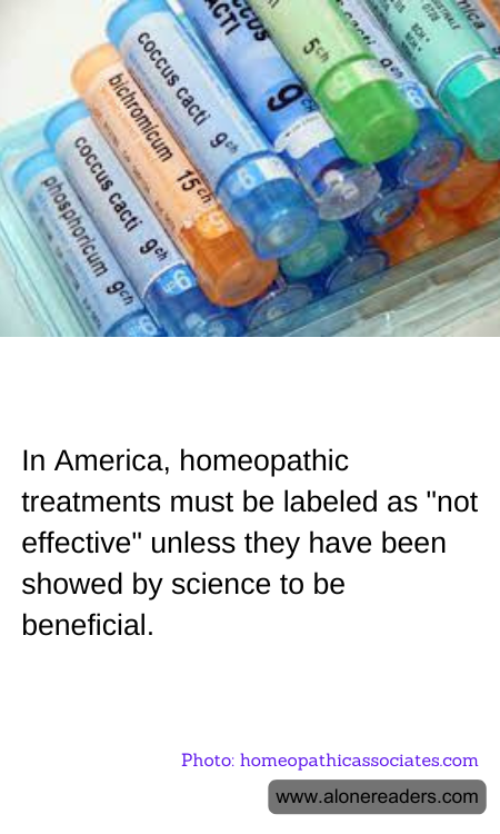 General Knowledge Learning Cards