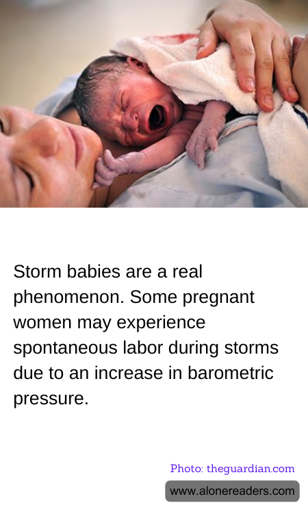 General Knowledge Learning Cards