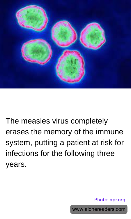 General Knowledge Learning Cards