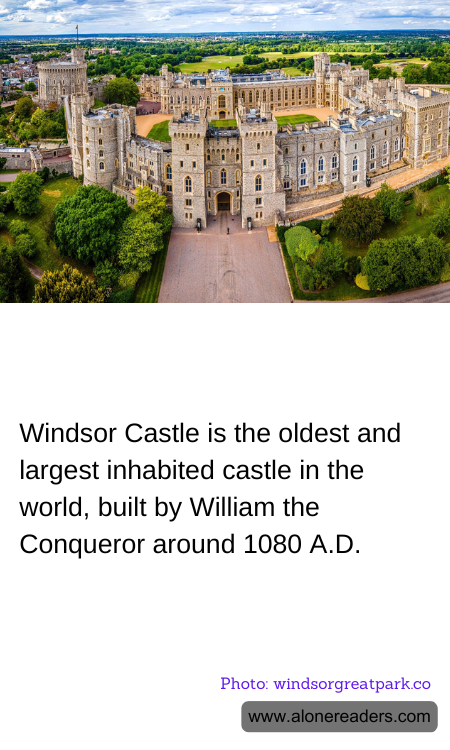 General Knowledge Learning Cards