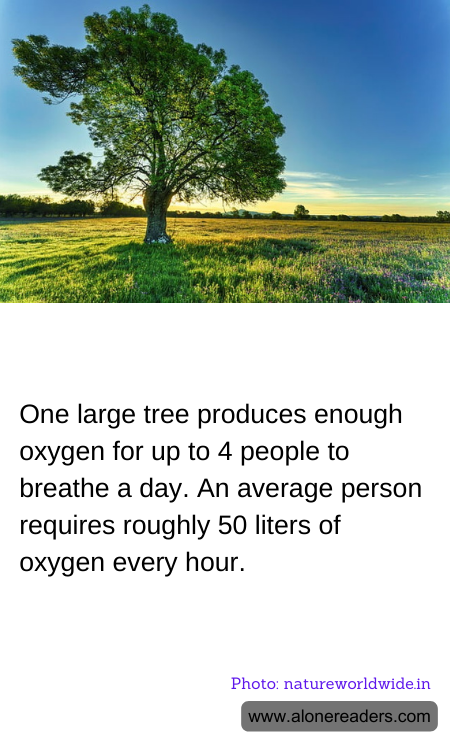 General Knowledge Learning Cards