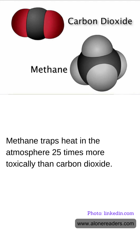 General Knowledge Learning Cards