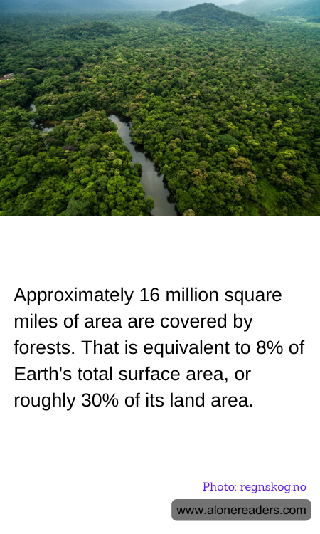 General Knowledge Learning Cards