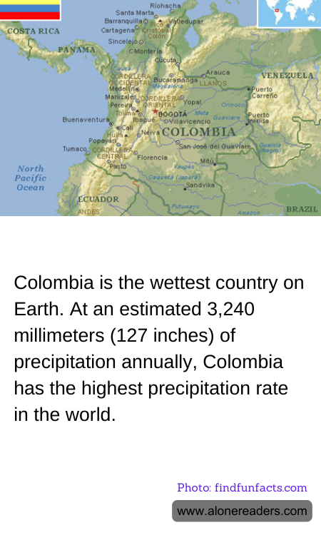 General Knowledge Learning Cards
