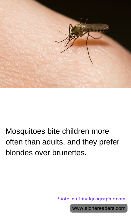 General Knowledge Learning Cards