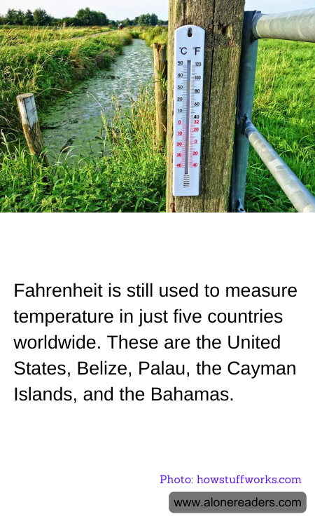 General Knowledge Learning Cards