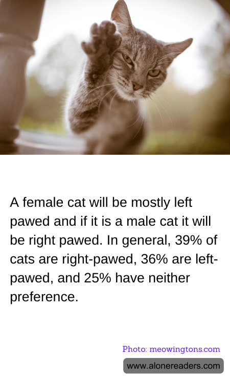 A female cat will be mostly left pawed and if it is a male cat it will be right pawed. In general, 39% of cats are right-pawed, 36% are left-pawed, and 25% have neither preference.