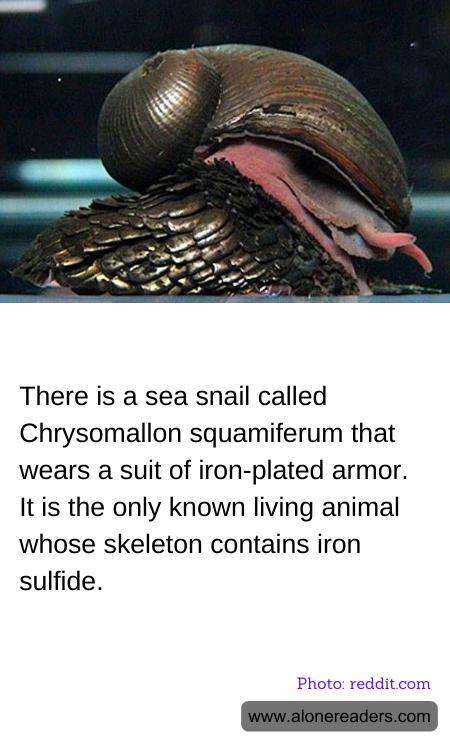 General Knowledge Learning Cards