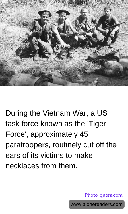During the Vietnam War, a US task force known as the 'Tiger Force', approximately 45 paratroopers, routinely cut off the ears of its victims to make necklaces from them.