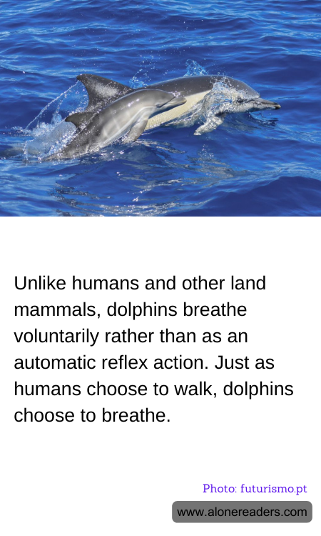 General Knowledge Learning Cards