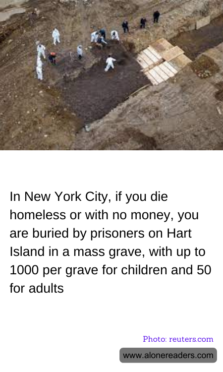 General Knowledge Learning Cards