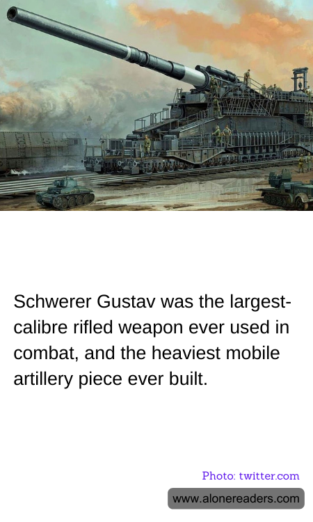 General Knowledge Learning Cards