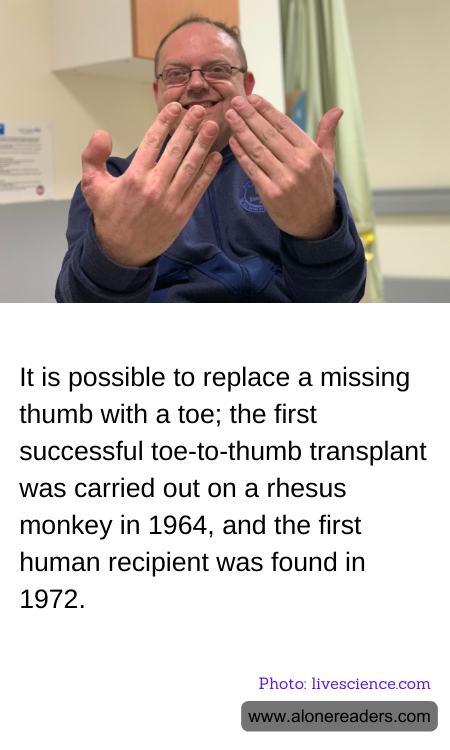 General Knowledge Learning Cards