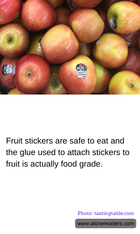 General Knowledge Learning Cards