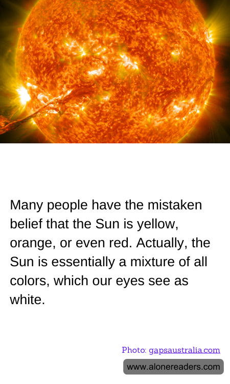 General Knowledge Learning Cards