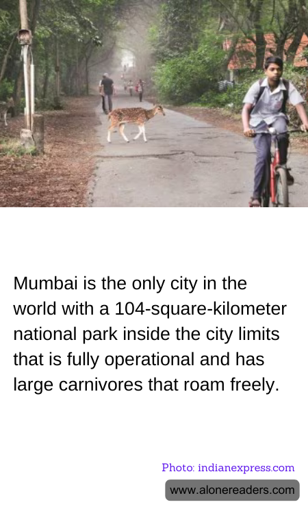 General Knowledge Learning Cards