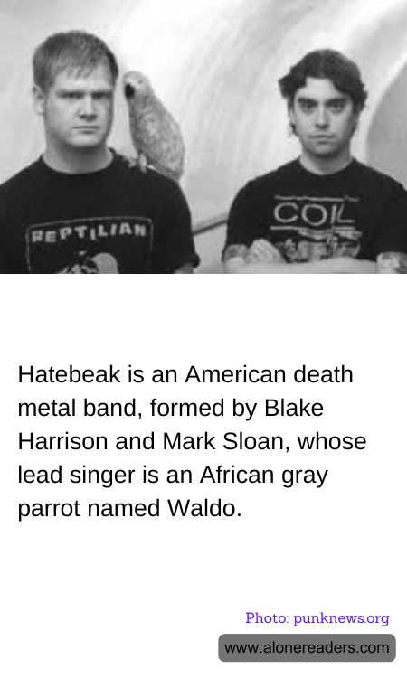 Hatebeak is an American death metal band, formed by Blake Harrison and Mark Sloan, whose lead singer is an African gray parrot named Waldo.