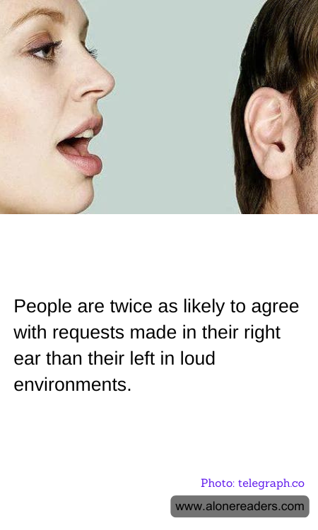 General Knowledge Learning Cards