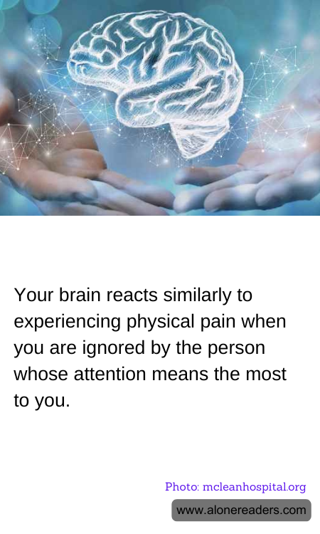 General Knowledge Learning Cards