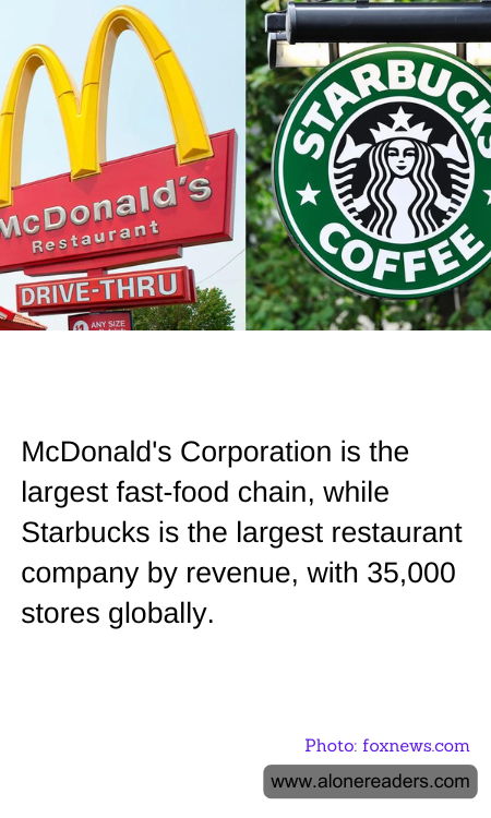 General Knowledge Learning Cards