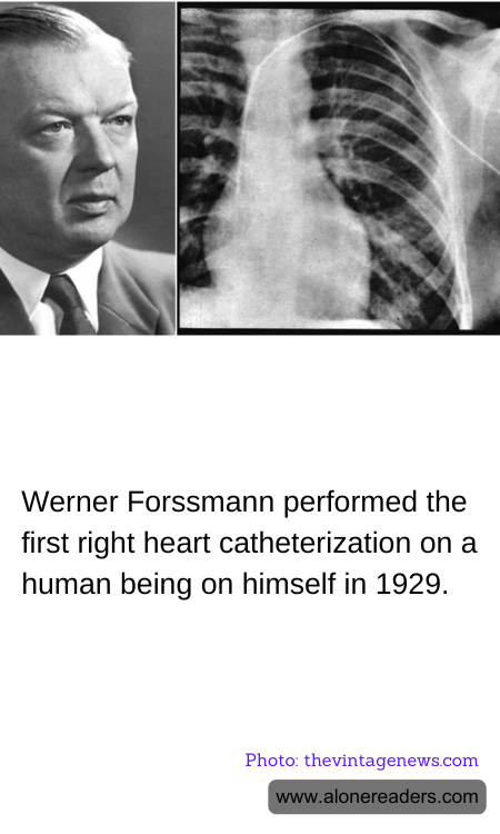 Werner Forssmann performed the first right heart catheterization on a human being on himself in 1929.