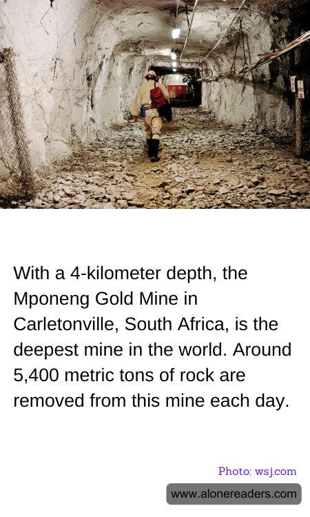 General Knowledge Learning Cards