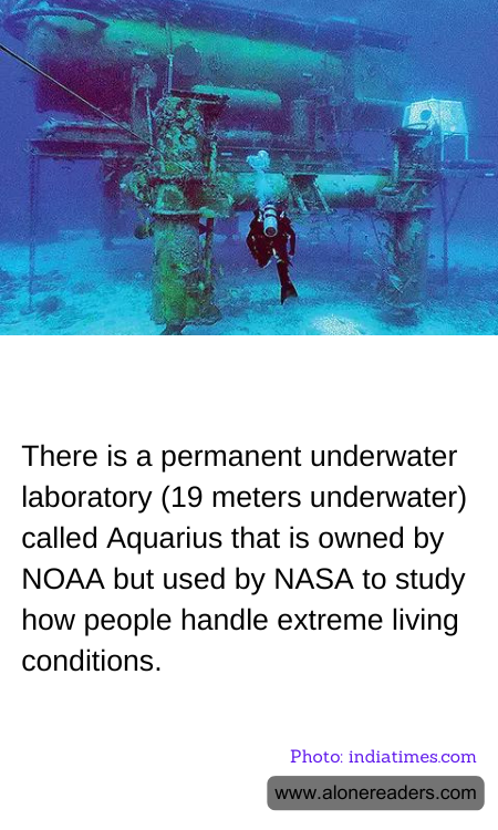 General Knowledge Learning Cards