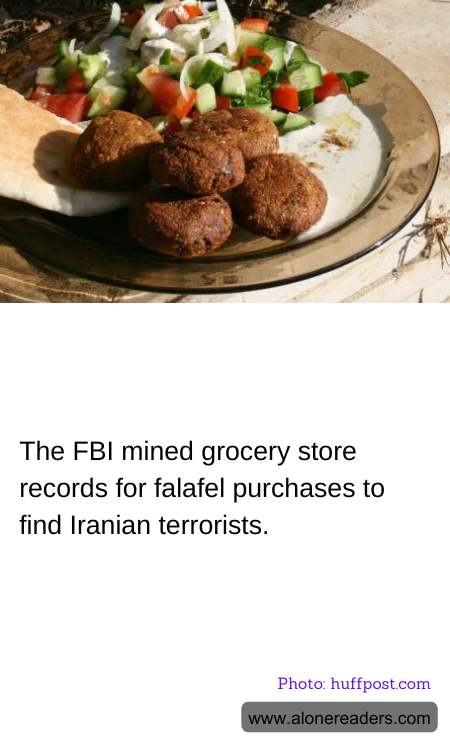 The FBI mined grocery store records for falafel purchases to find Iranian terrorists.
