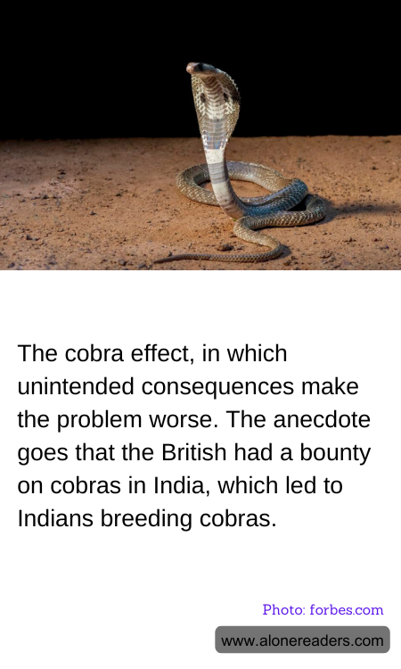 General Knowledge Learning Cards