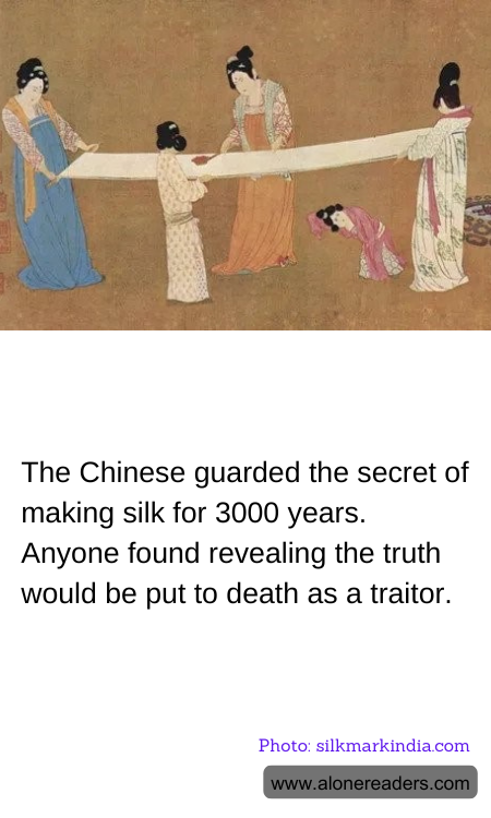 General Knowledge Learning Cards