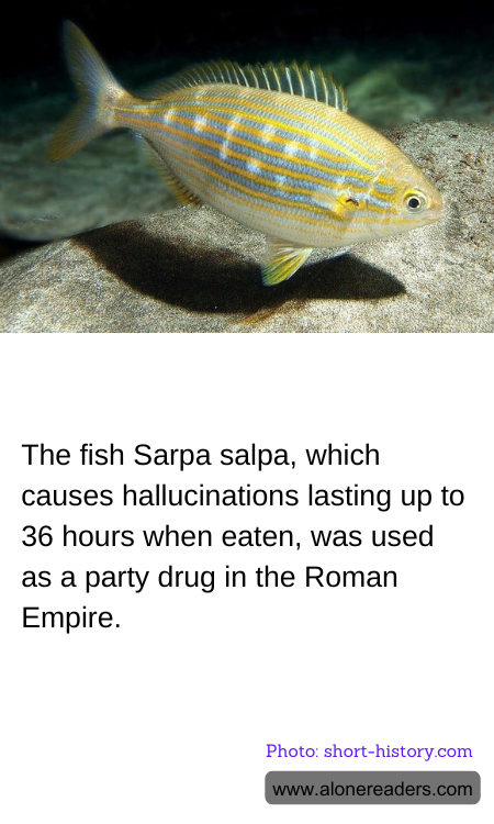 General Knowledge Learning Cards