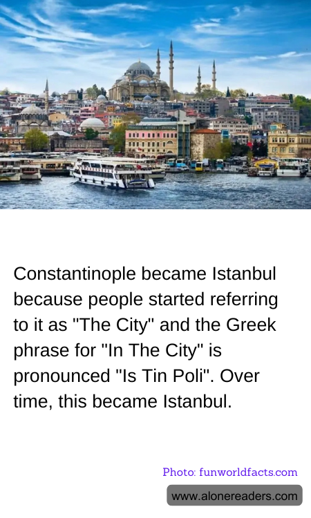 General Knowledge Learning Cards