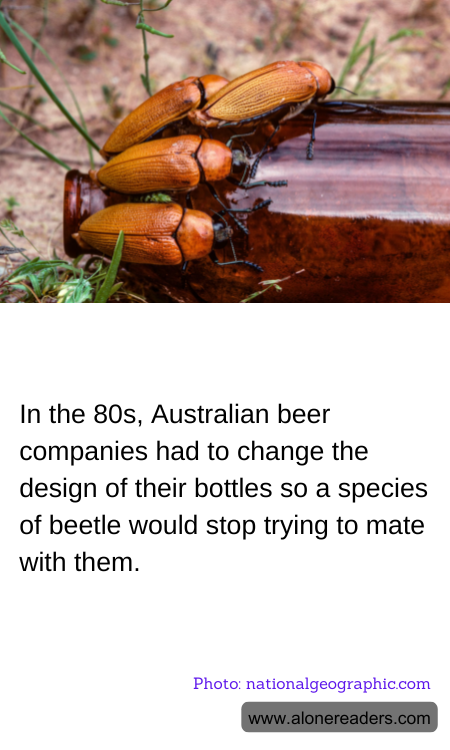 In the 80s, Australian beer companies had to change the design of their bottles so a species of beetle would stop trying to mate with them.