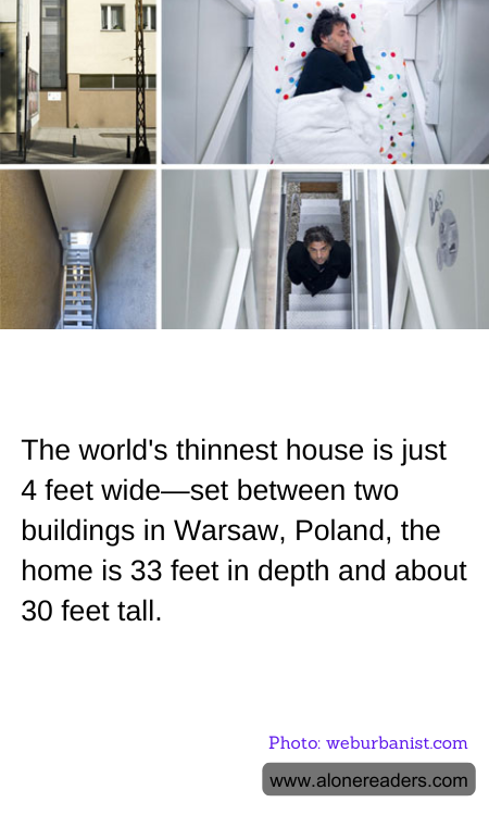 General Knowledge Learning Cards