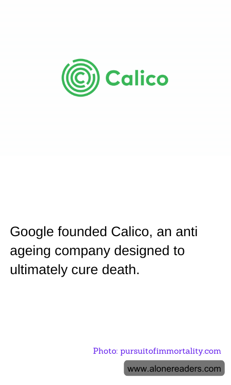 General Knowledge Learning Cards