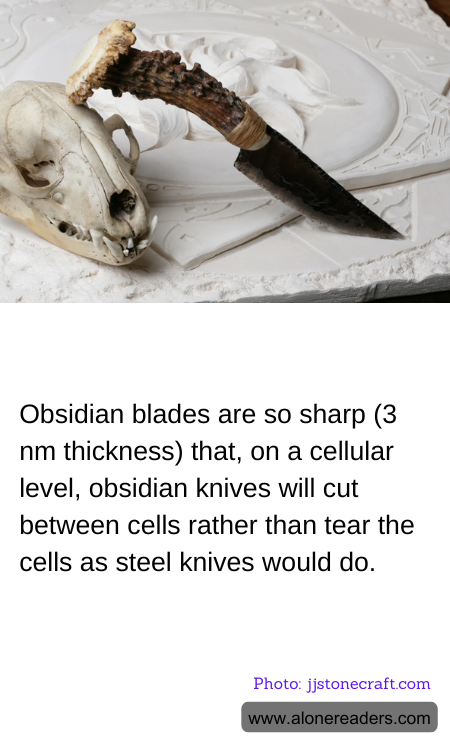 General Knowledge Learning Cards