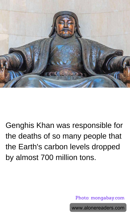 General Knowledge Learning Cards